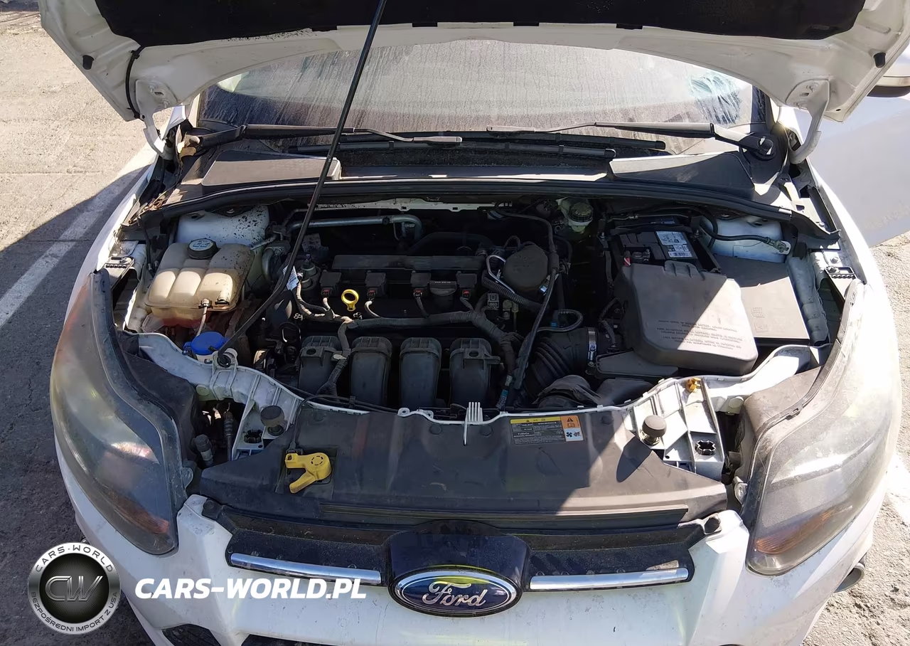 2014 Ford Focus Titanium VIN:1FADP3N28EL110878 - 10