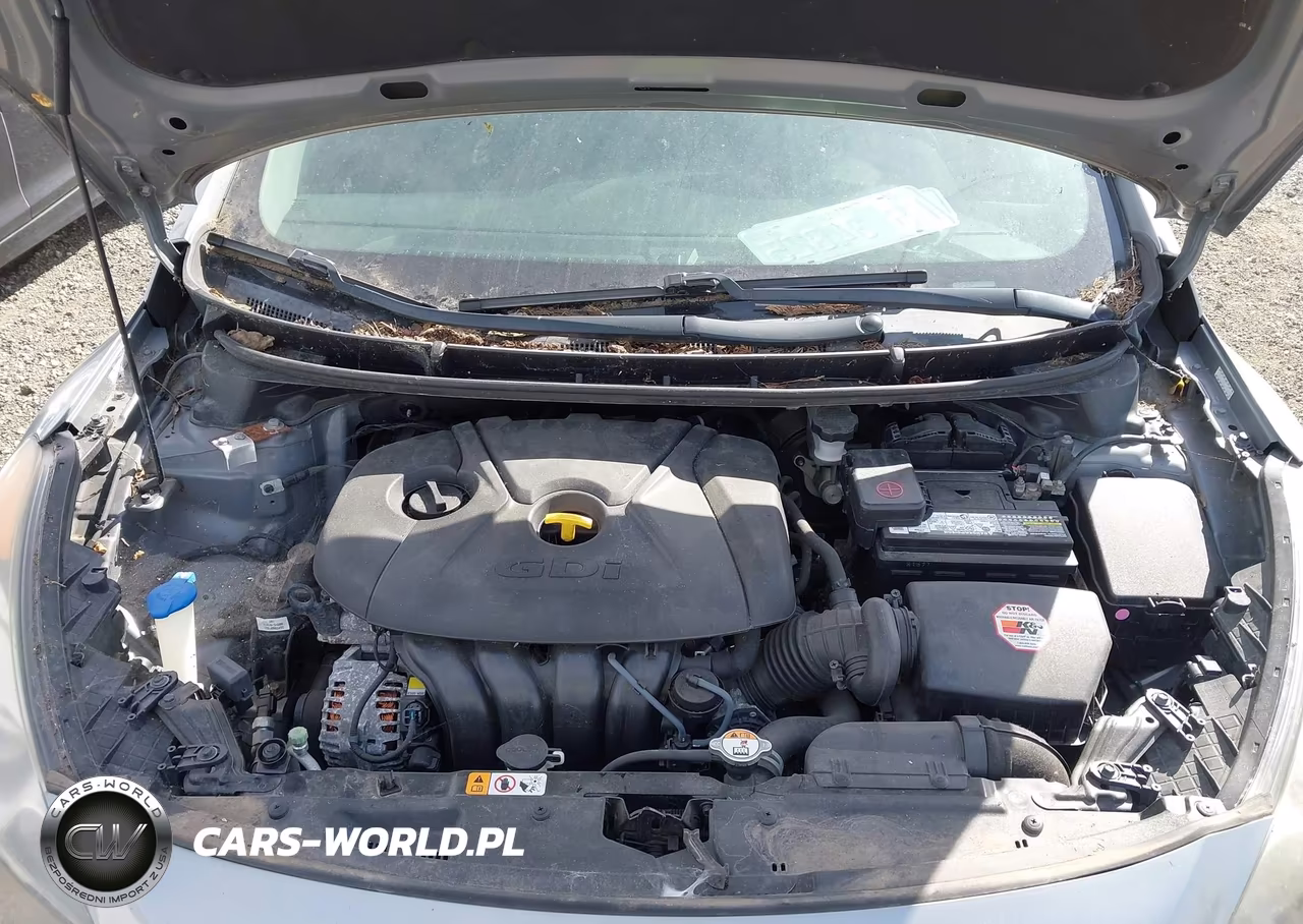 2016 Hyundai Elantra Gt VIN:KMHD35LH8GU261219 - 10