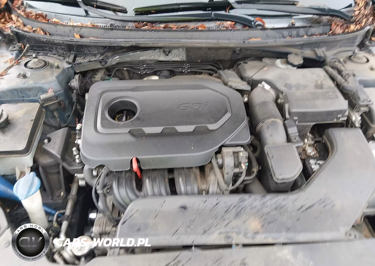 2015 Hyundai Sonata Se VIN:5NPE24AF4FH222238 - 10