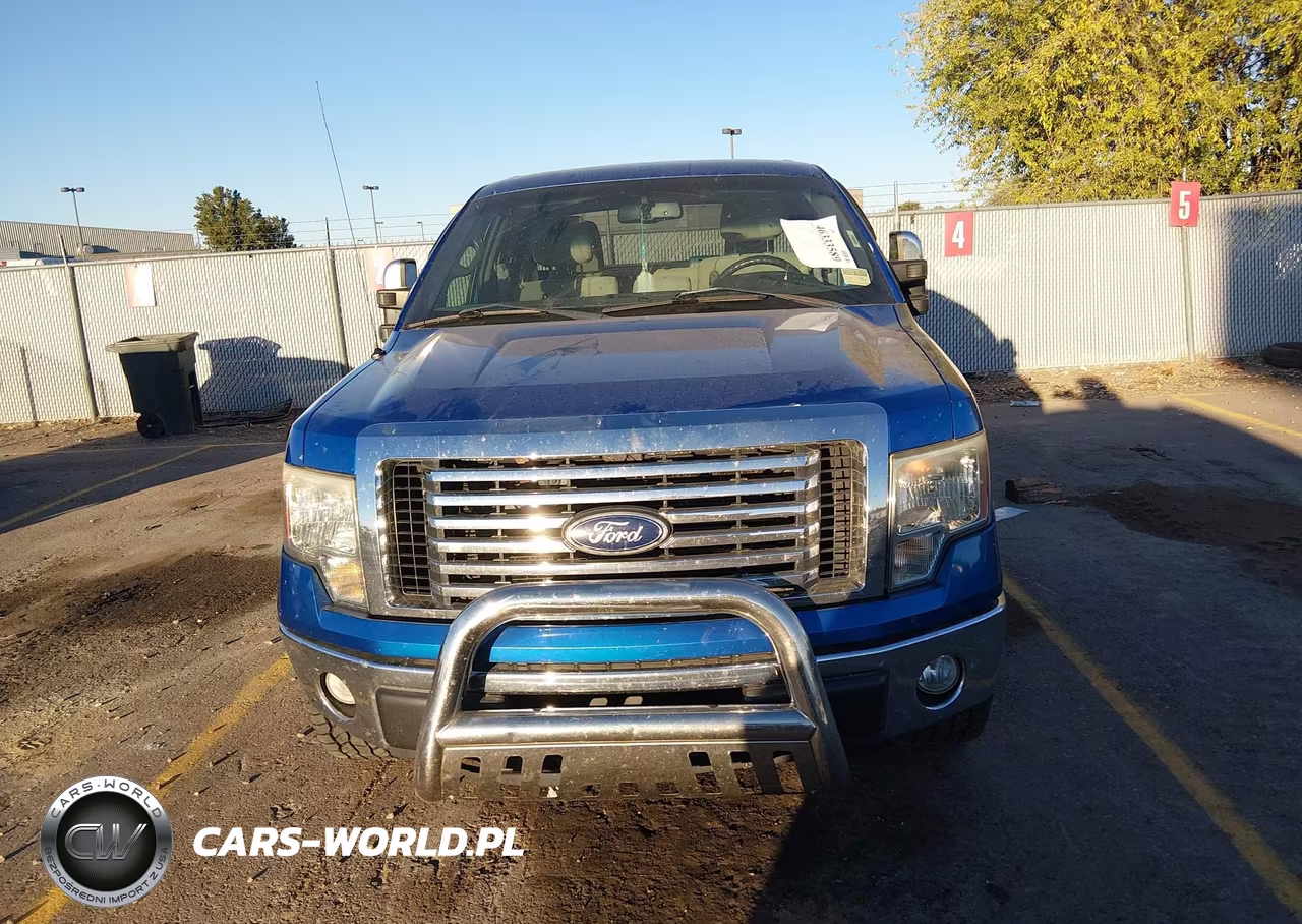 2010 Ford F-150 Fx4-Lariat-Xl-Xlt VIN:1FTFX1EV2AFC48801 - 12