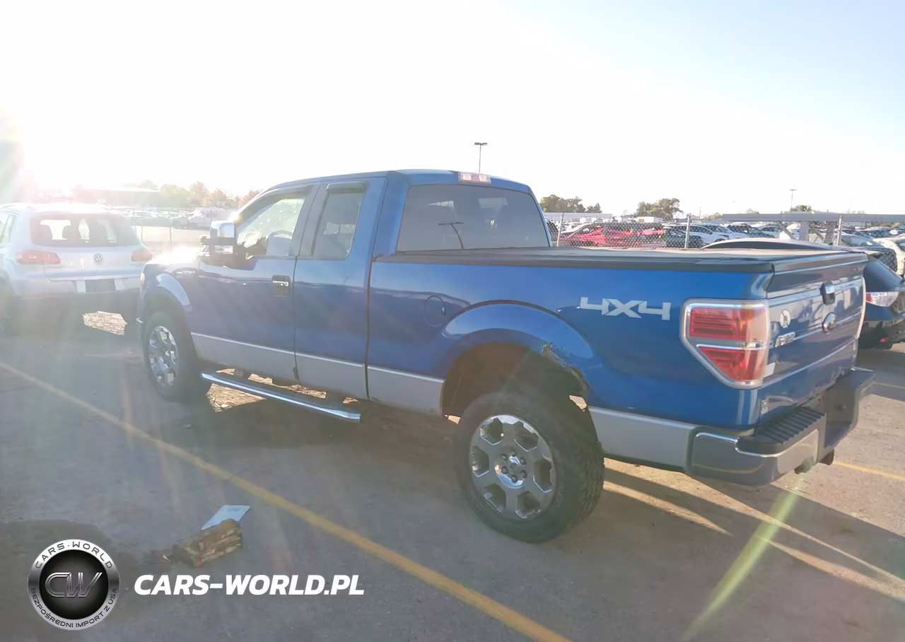 2010 Ford F-150 Fx4-Lariat-Xl-Xlt VIN:1FTFX1EV2AFC48801 - 3