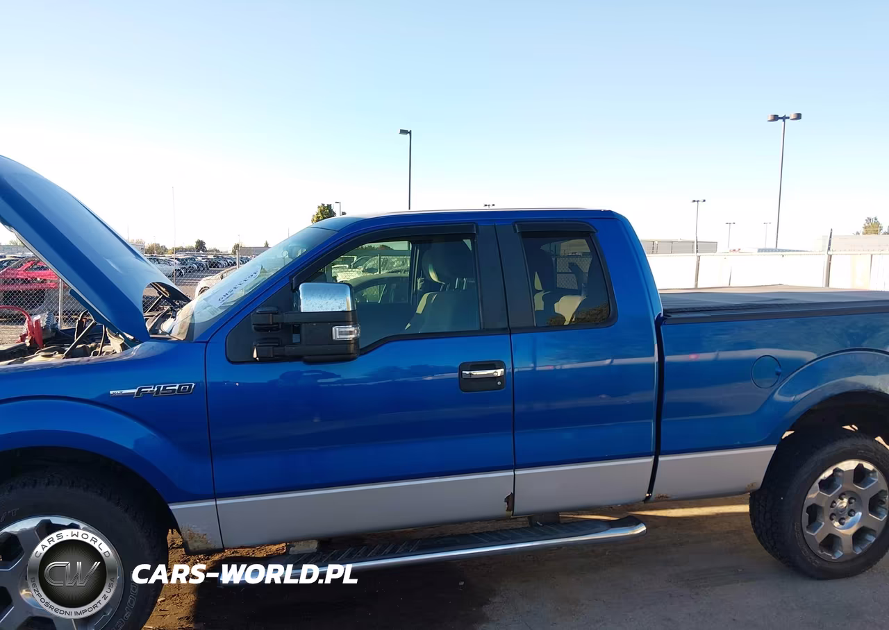 2010 Ford F-150 Fx4-Lariat-Xl-Xlt VIN:1FTFX1EV2AFC48801 - 6