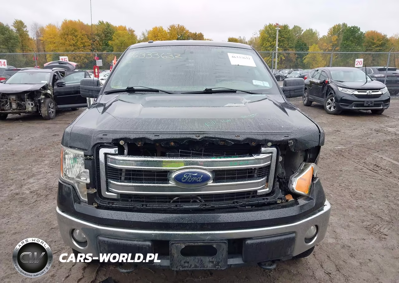 2014 Ford F-150 Xlt VIN:1FTFW1EF7EFC18923 - 12