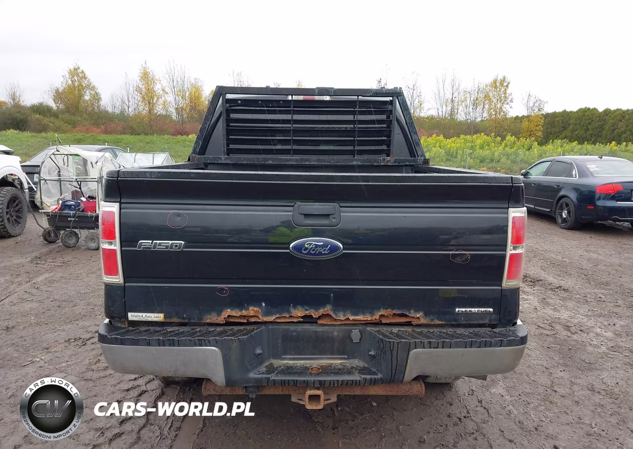 2014 Ford F-150 Xlt VIN:1FTFW1EF7EFC18923 - 16