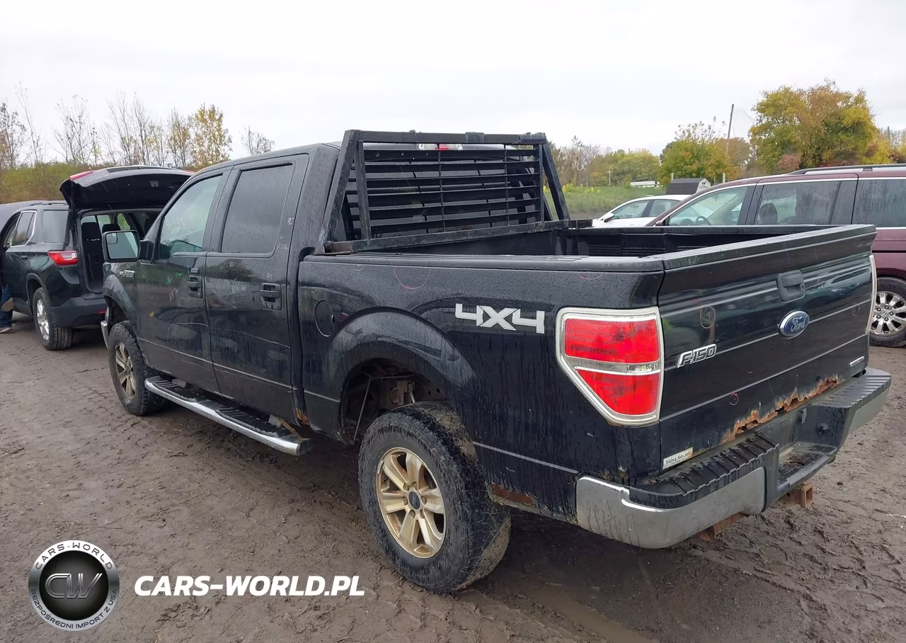 2014 Ford F-150 Xlt VIN:1FTFW1EF7EFC18923 - 3