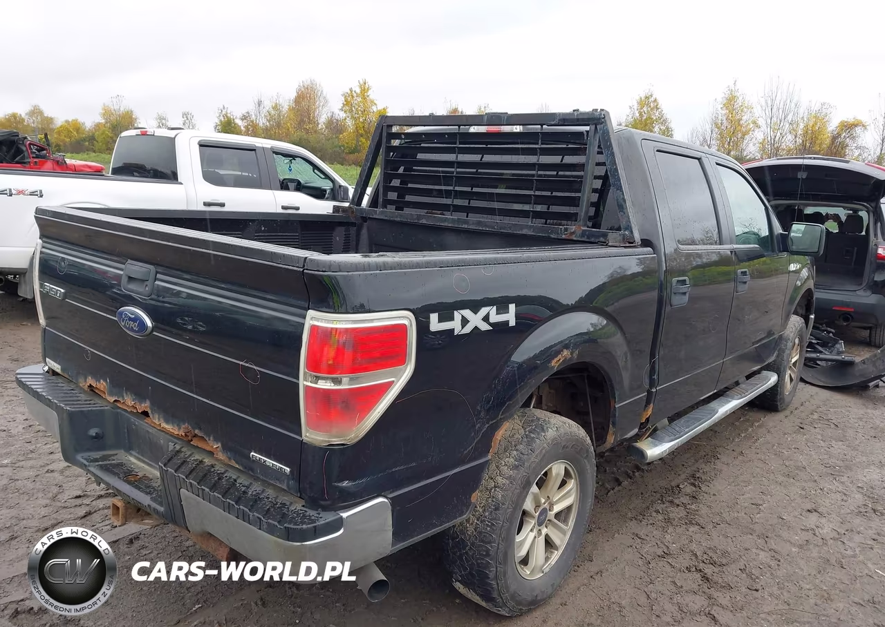 2014 Ford F-150 Xlt VIN:1FTFW1EF7EFC18923 - 4