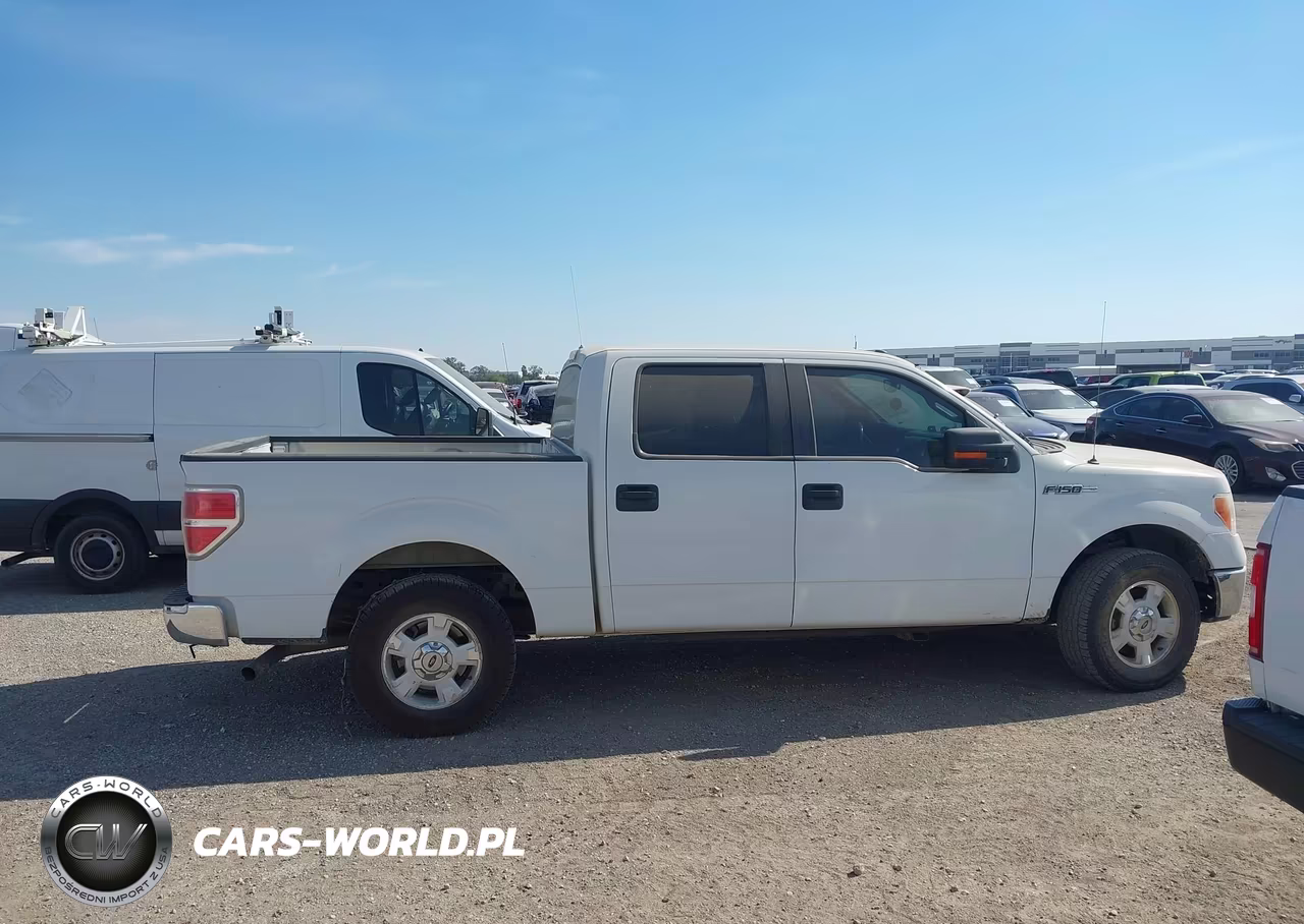 2014 Ford F-150 Xlt VIN:1FTFW1CF8EFA12917 - 13