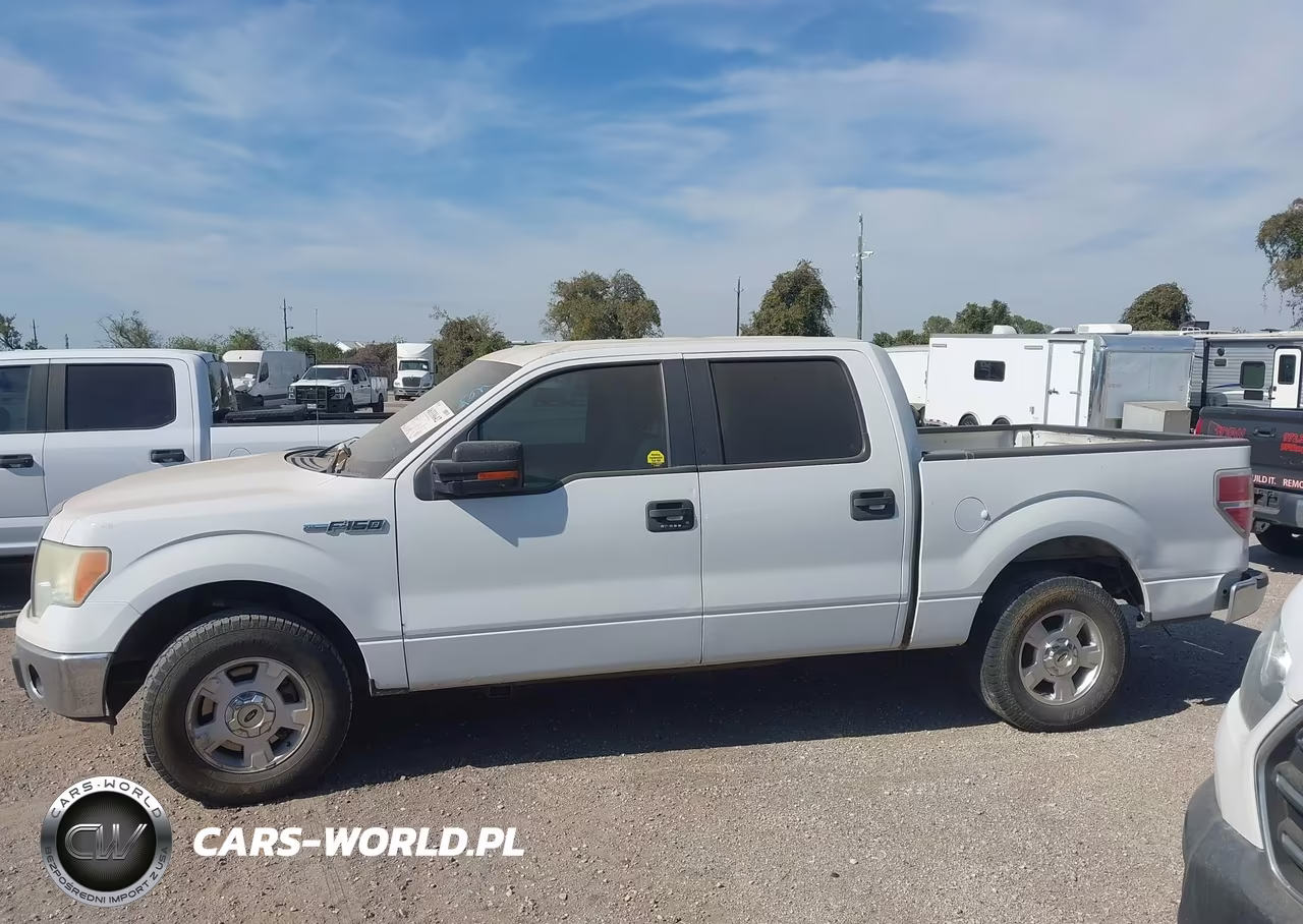 2014 Ford F-150 Xlt VIN:1FTFW1CF8EFA12917 - 14
