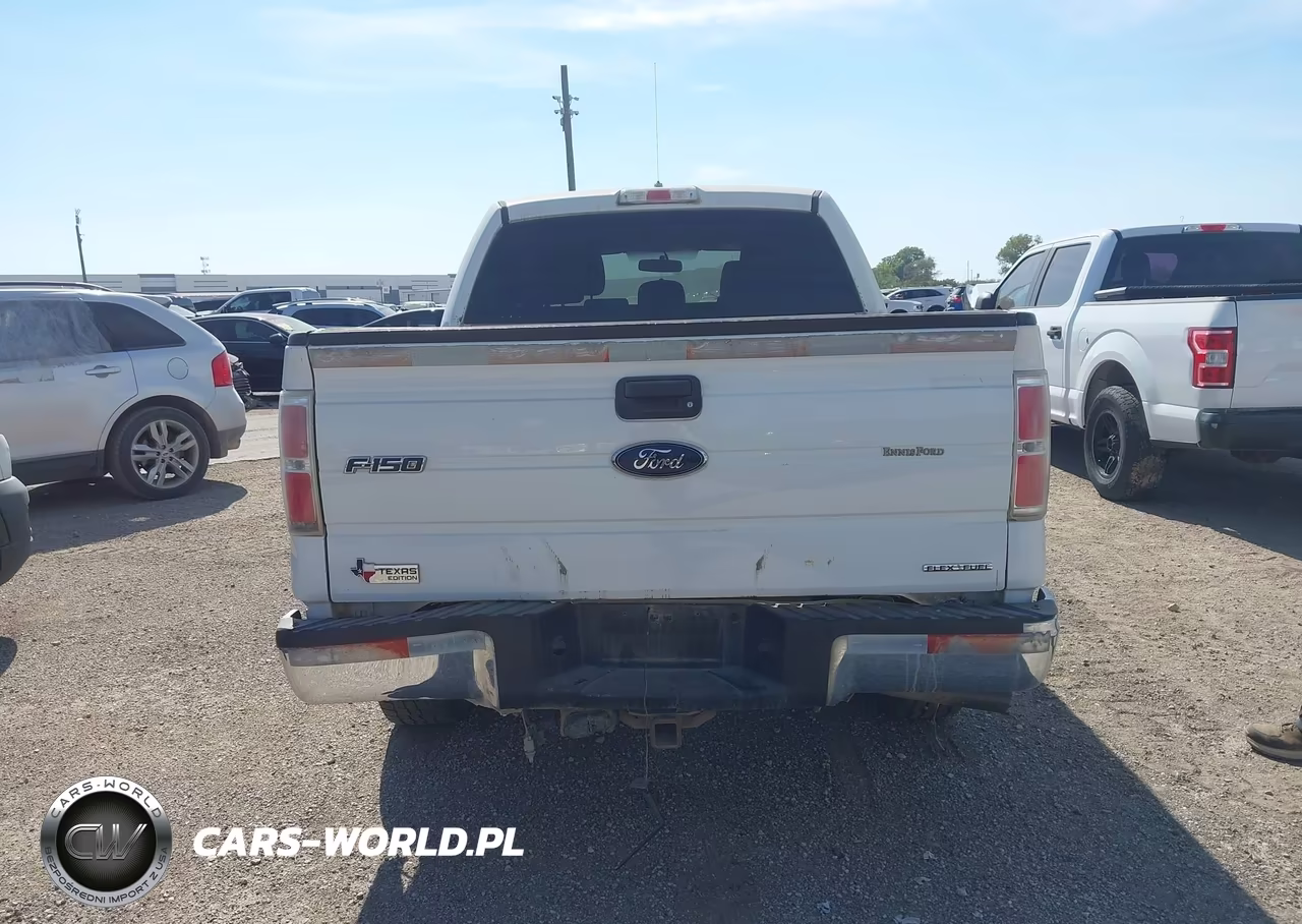 2014 Ford F-150 Xlt VIN:1FTFW1CF8EFA12917 - 16
