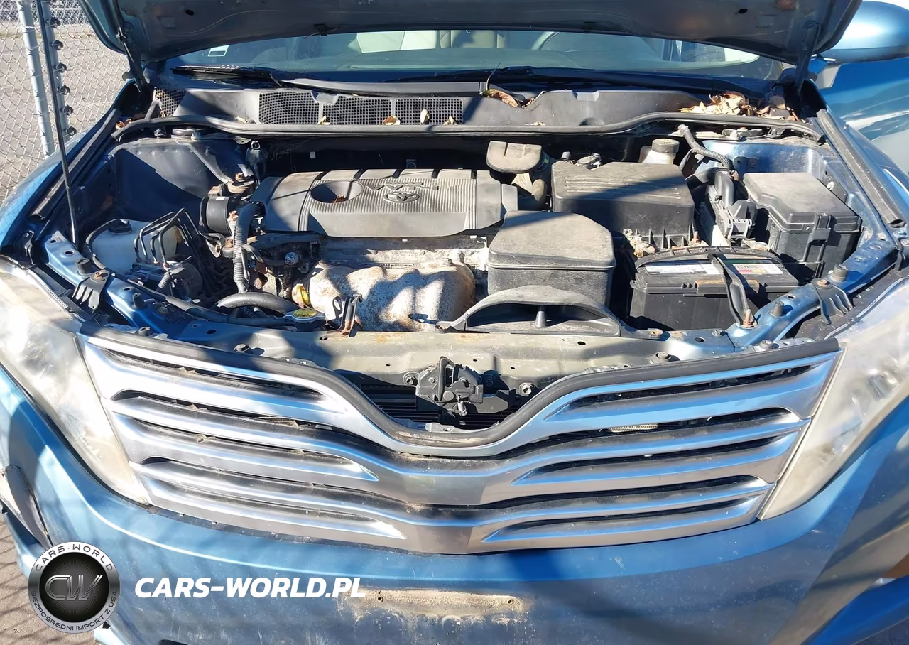 2010 Toyota Venza VIN:4T3BA3BB1AU014394 - 10