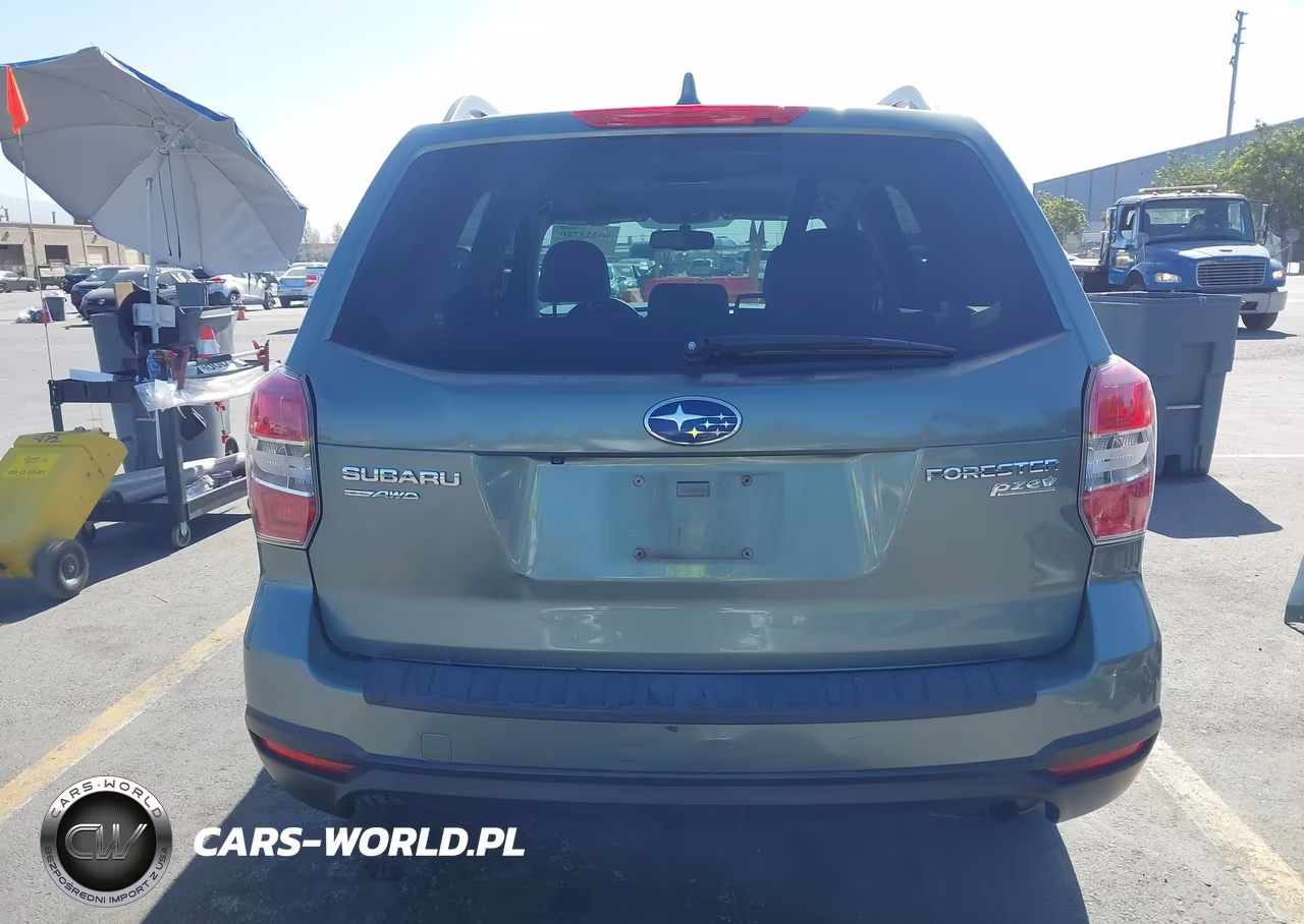 2016 Subaru Forester 2.5I Premium VIN:JF2SJADC3GH523834 - 17