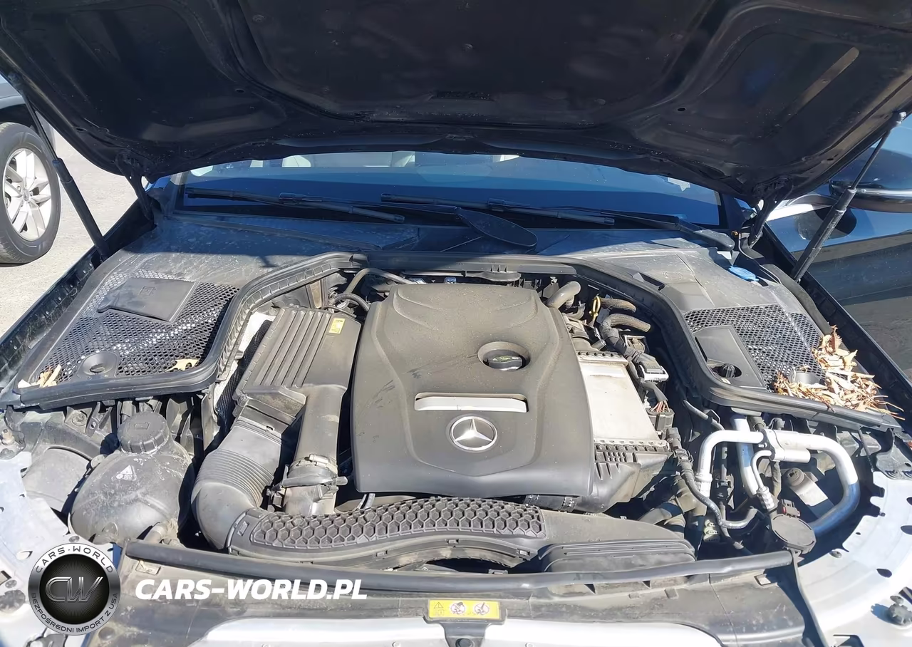 2018 Mercedes-Benz C 300 VIN:55SWF4JB6JU253664 - 10