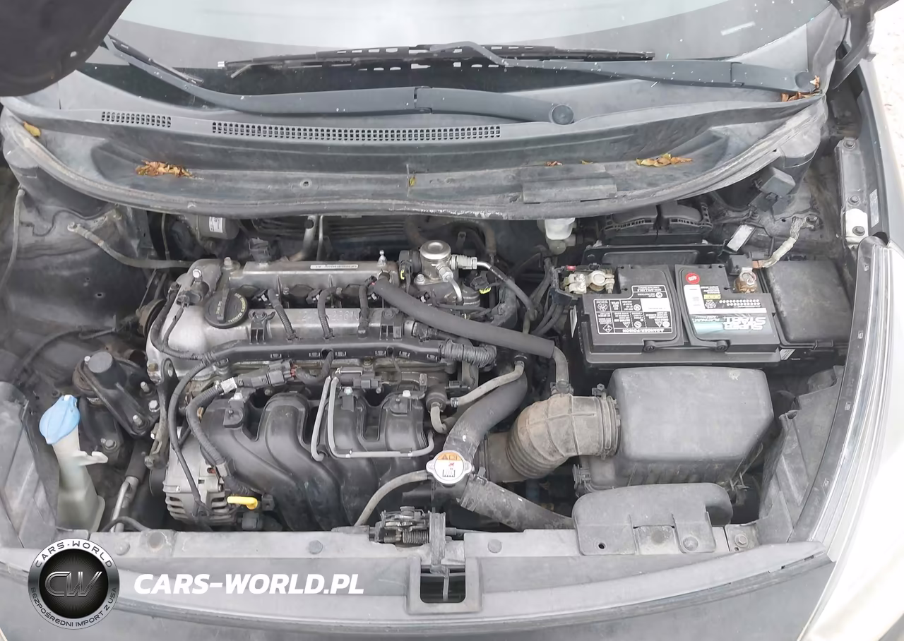 2014 Kia Rio Lx VIN:KNADM4A32E6324672 - 10