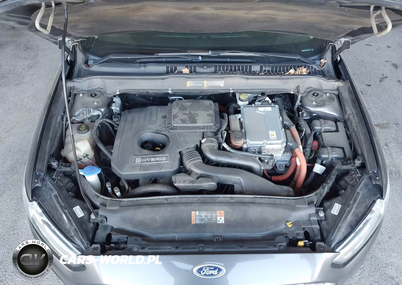 2016 Ford Fusion Hybrid Se VIN:3FA6P0LU2GR187004 - 10
