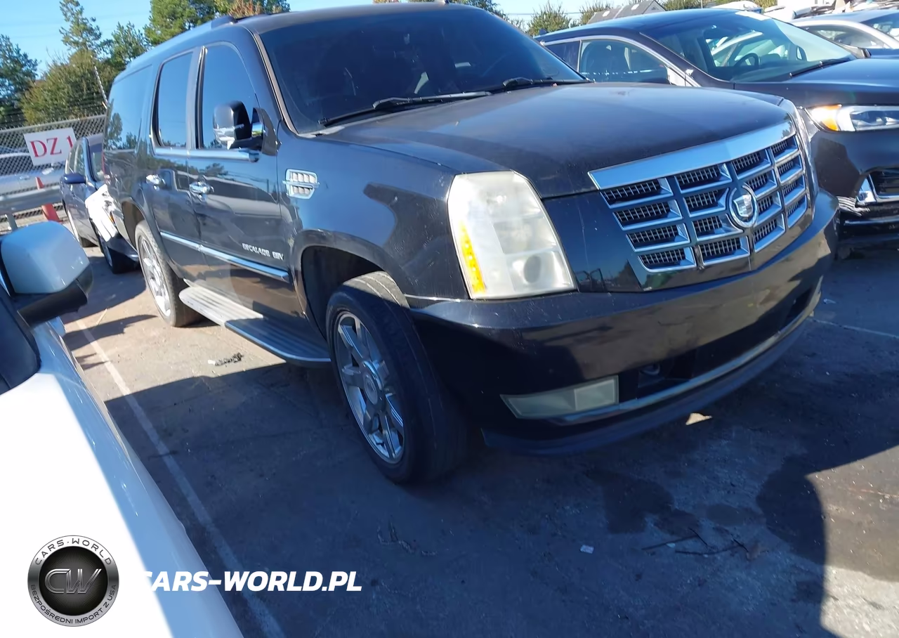 2010 Cadillac Escalade Esv Luxury VIN:1GYUCHEF9AR118978 - 1