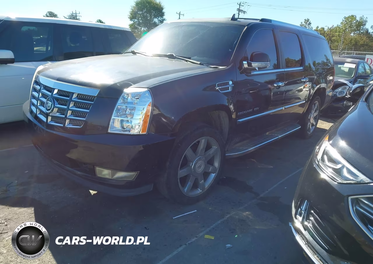 2010 Cadillac Escalade Esv Luxury VIN:1GYUCHEF9AR118978 - 2