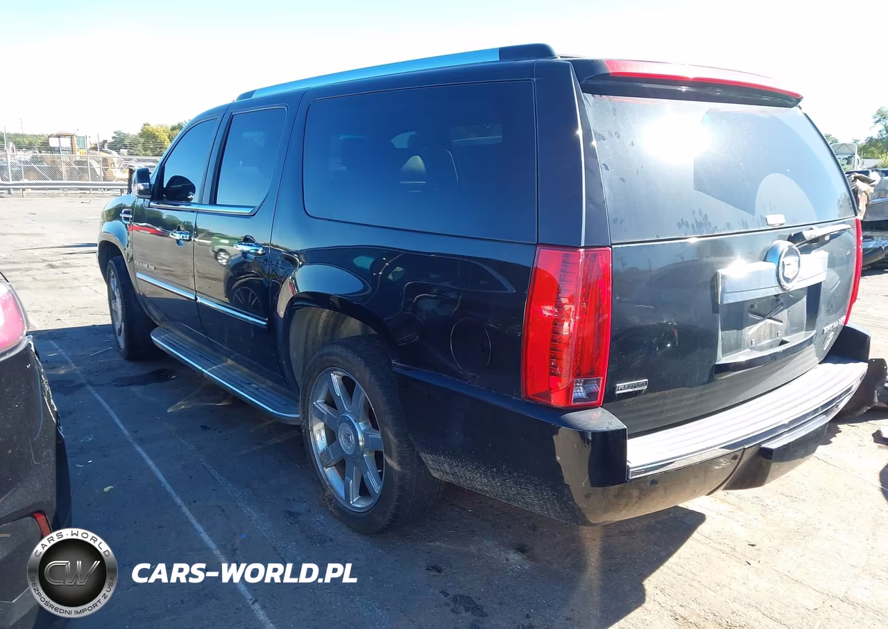 2010 Cadillac Escalade Esv Luxury VIN:1GYUCHEF9AR118978 - 3
