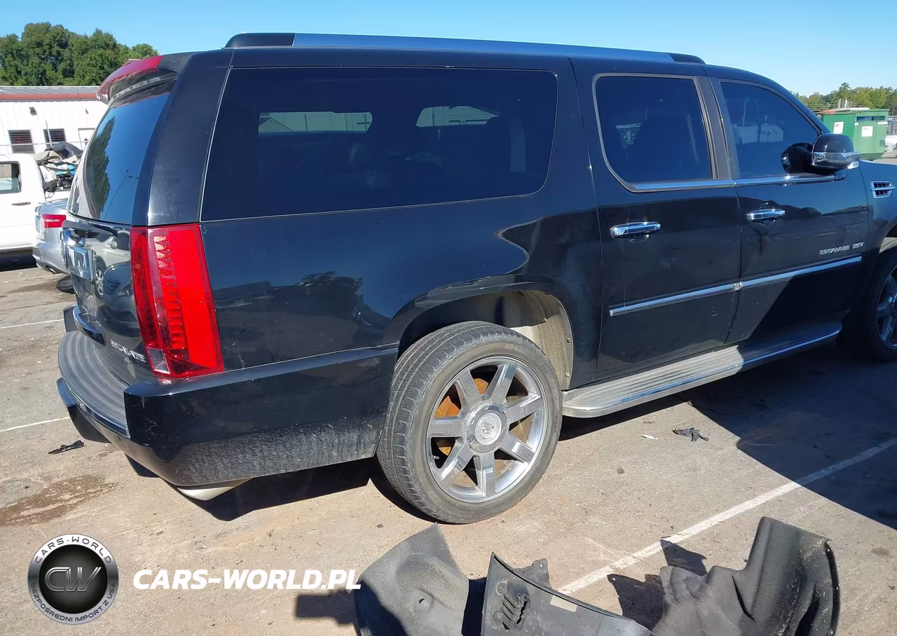 2010 Cadillac Escalade Esv Luxury VIN:1GYUCHEF9AR118978 - 4
