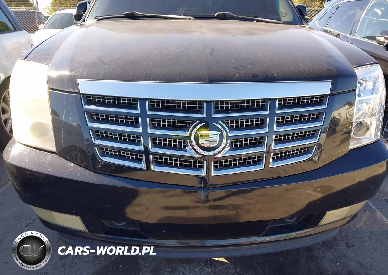 2010 Cadillac Escalade Esv Luxury VIN:1GYUCHEF9AR118978 - 6