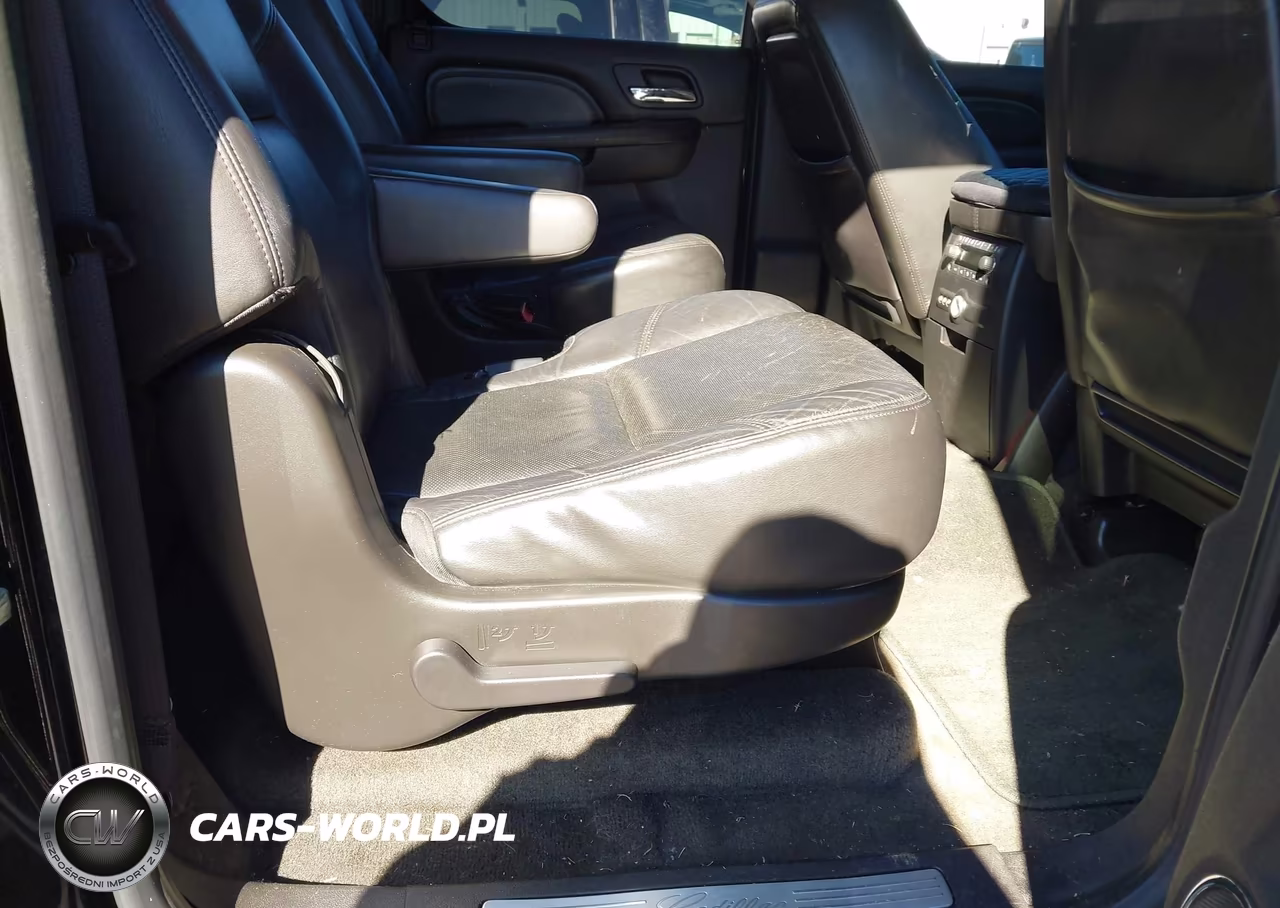 2010 Cadillac Escalade Esv Luxury VIN:1GYUCHEF9AR118978 - 8