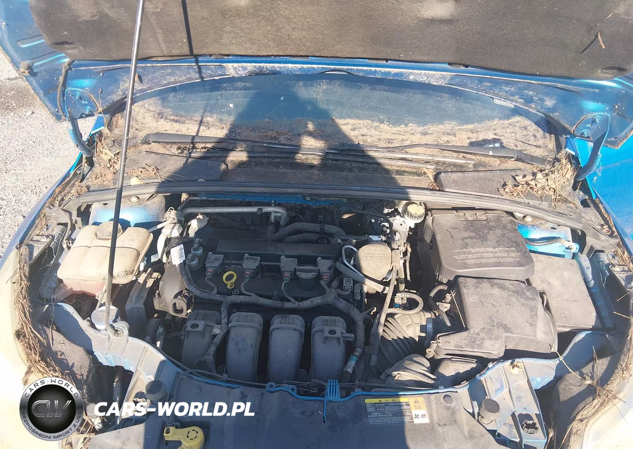 2014 Ford Focus Se VIN:1FADP3F28EL114881 - 10