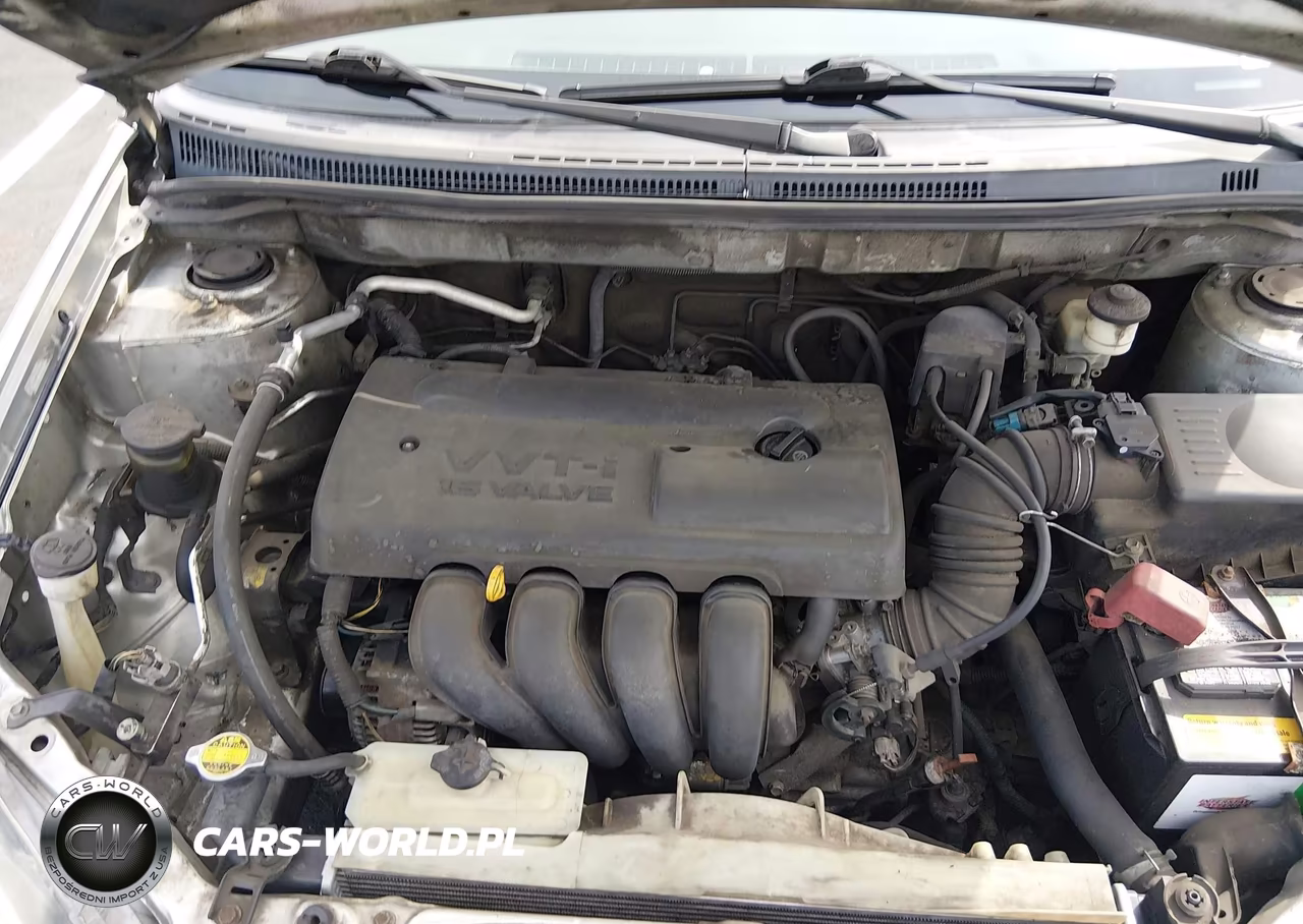 2004 Toyota Corolla Le VIN:JTDBR32EX42036846 - 10