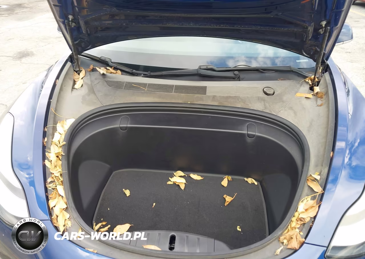 2018 Tesla Model 3 Long Range-Mid Range VIN:5YJ3E1EA9JF108951 - 10