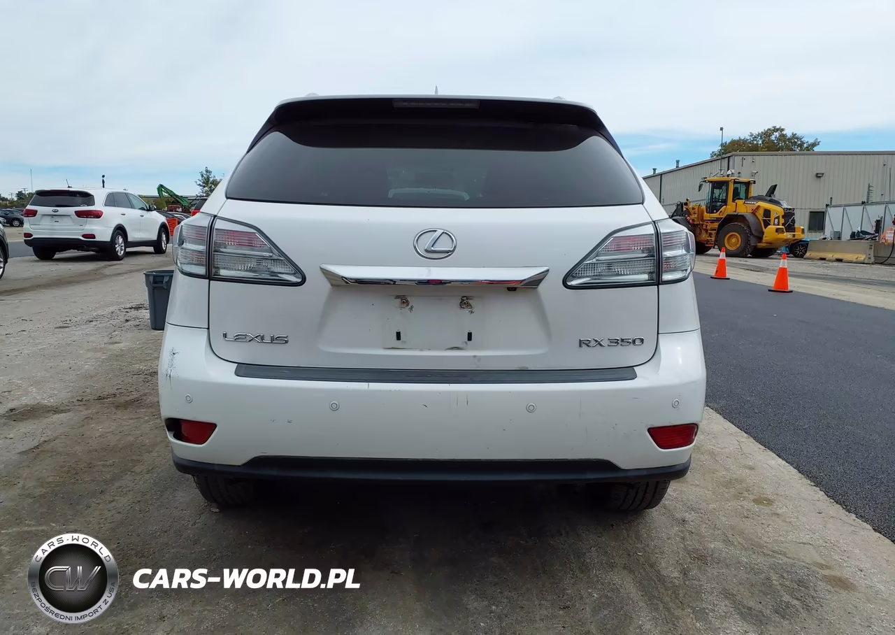 2010 Lexus Rx 350 VIN:2T2BK1BA1AC010599 - 16