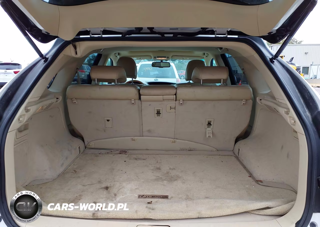 2010 Lexus Rx 350 VIN:2T2BK1BA1AC010599 - 19