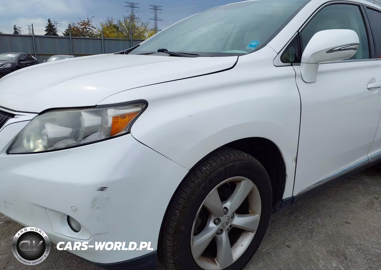 2010 Lexus Rx 350 VIN:2T2BK1BA1AC010599 - 6