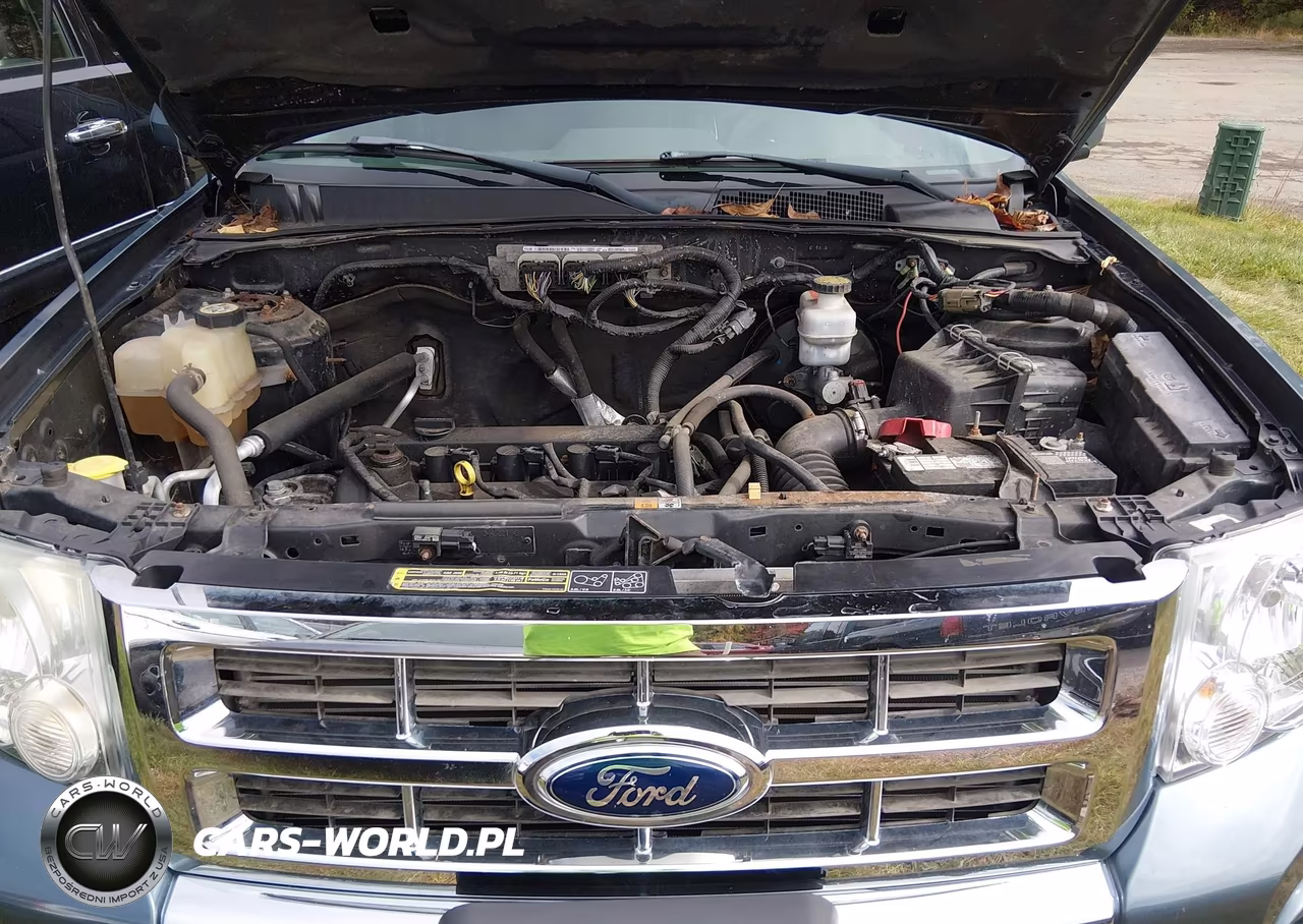 2010 Ford Escape Limited VIN:1FMCU9E7XAKD38566 - 10