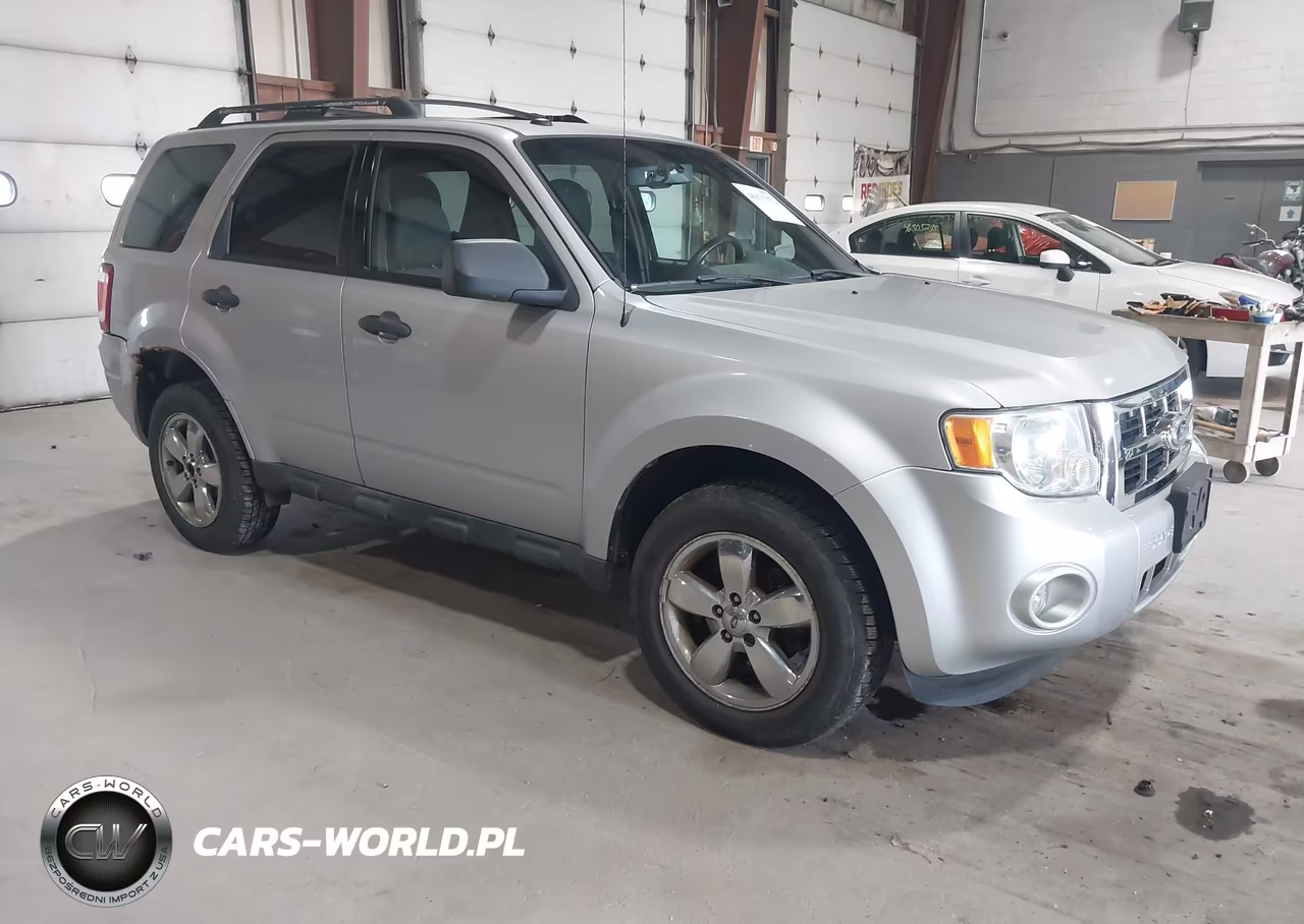 2010 Ford Escape Xlt