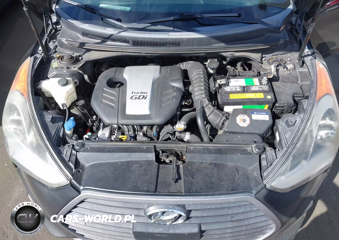 2016 Hyundai Veloster Turbo R-Spec VIN:KMHTC6AE3GU292310 - 10