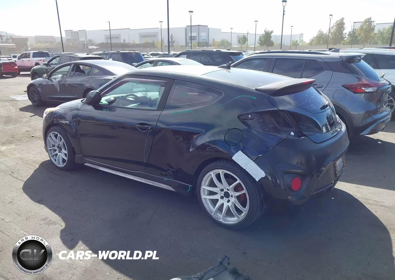 2016 Hyundai Veloster Turbo R-Spec VIN:KMHTC6AE3GU292310 - 3