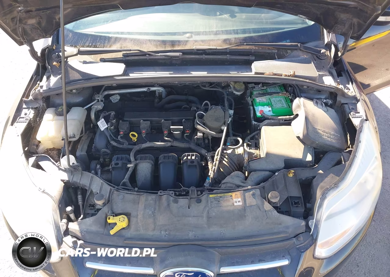 2014 Ford Focus Se VIN:1FADP3F26EL119982 - 10