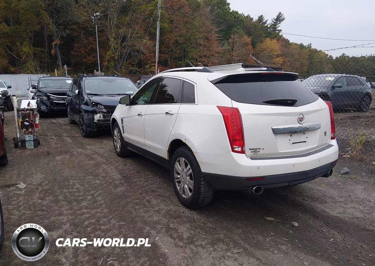 2010 Cadillac Srx Luxury Collection VIN:3GYFNDEY0AS586088 - 3