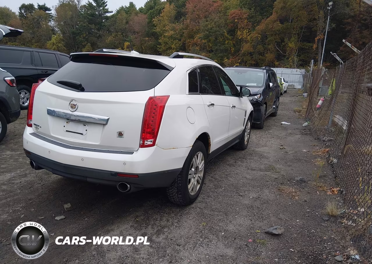 2010 Cadillac Srx Luxury Collection VIN:3GYFNDEY0AS586088 - 4