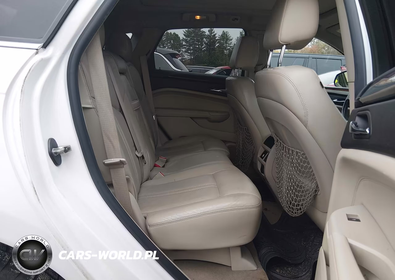 2010 Cadillac Srx Luxury Collection VIN:3GYFNDEY0AS586088 - 8