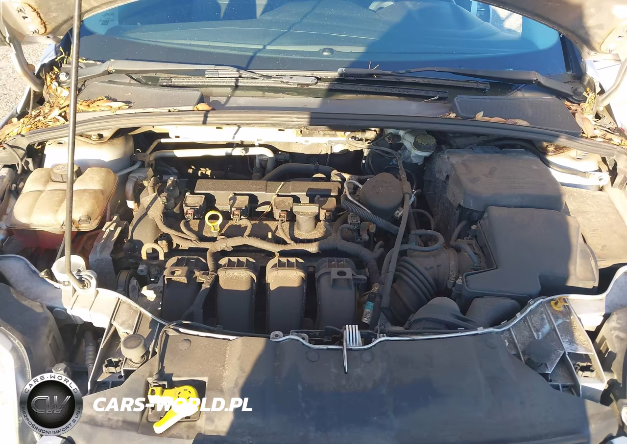 2013 Ford Focus Se VIN:1FADP3K21DL176269 - 10