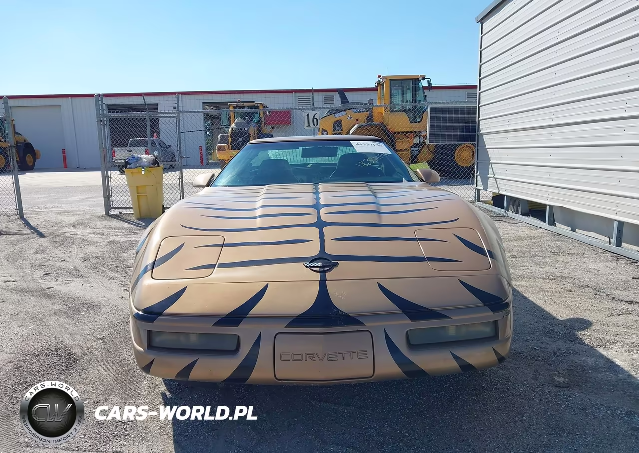 1996 Chevrolet Corvette VIN:1G1YY22P8T5114152 - 12