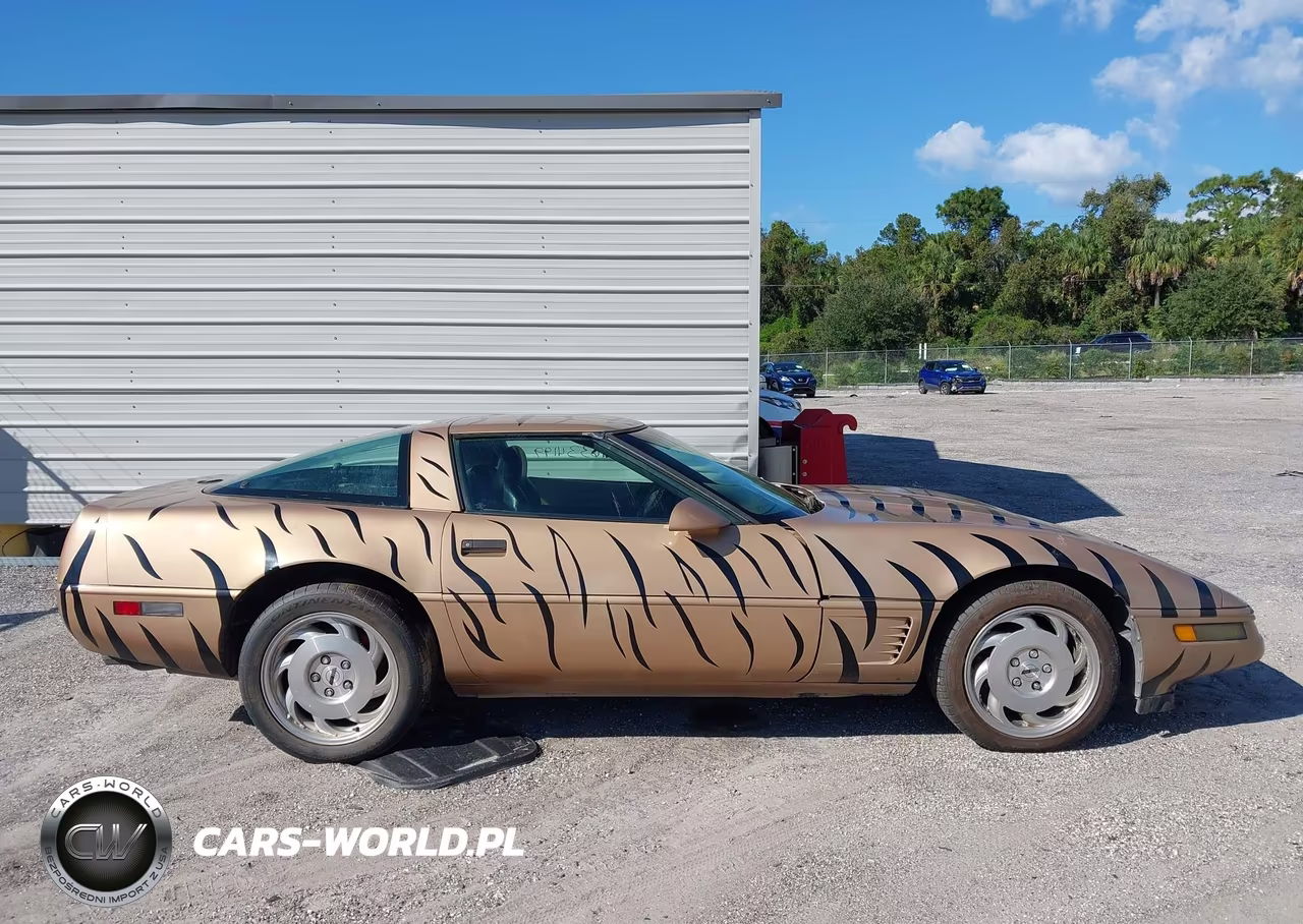 1996 Chevrolet Corvette VIN:1G1YY22P8T5114152 - 13