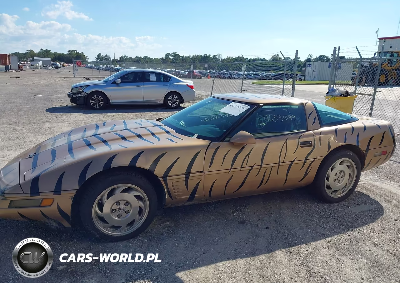 1996 Chevrolet Corvette VIN:1G1YY22P8T5114152 - 14