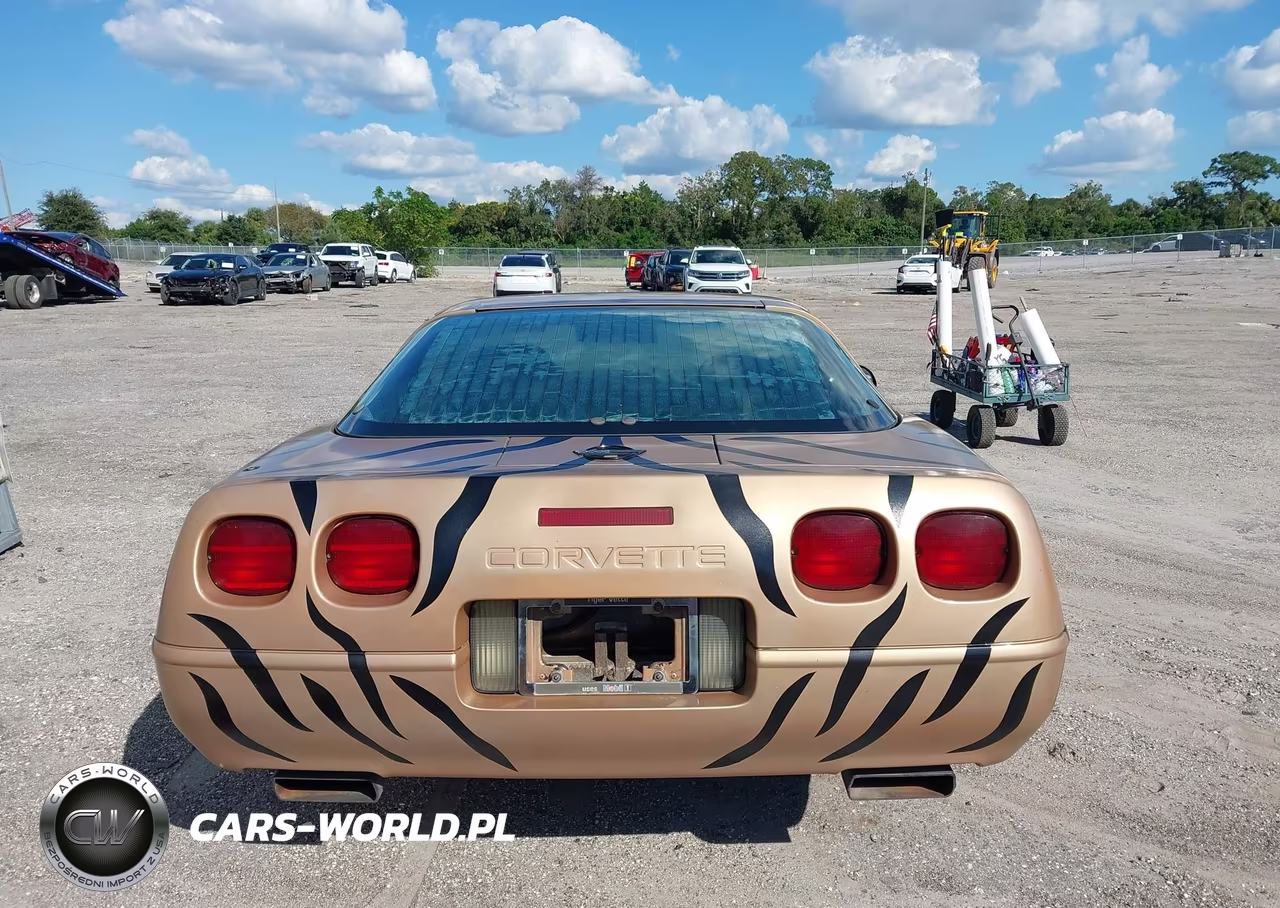 1996 Chevrolet Corvette VIN:1G1YY22P8T5114152 - 16