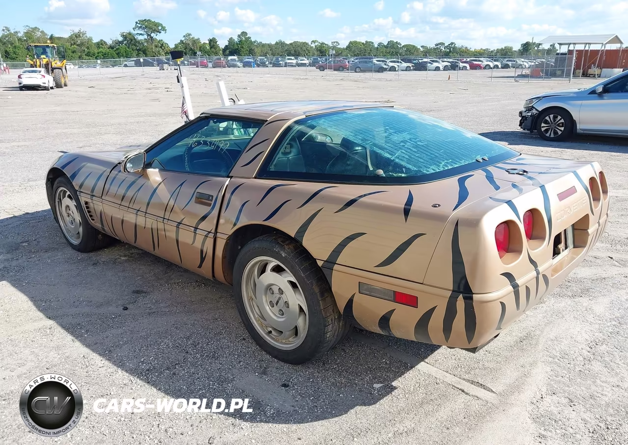 1996 Chevrolet Corvette VIN:1G1YY22P8T5114152 - 3