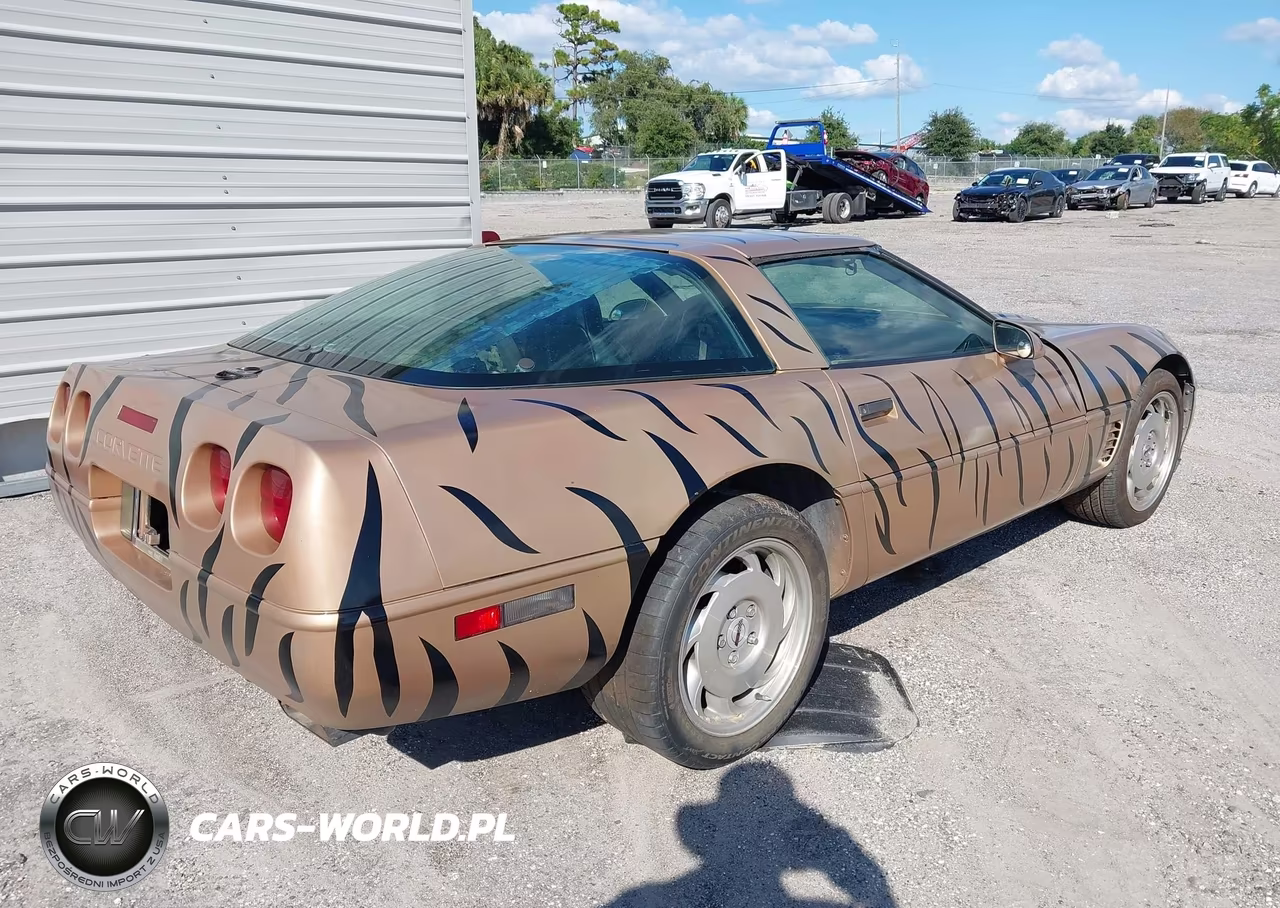 1996 Chevrolet Corvette VIN:1G1YY22P8T5114152 - 4