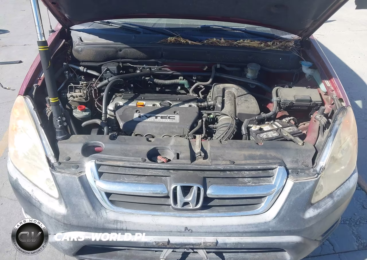2004 Honda Cr-V Ex VIN:JHLRD78884C005808 - 10