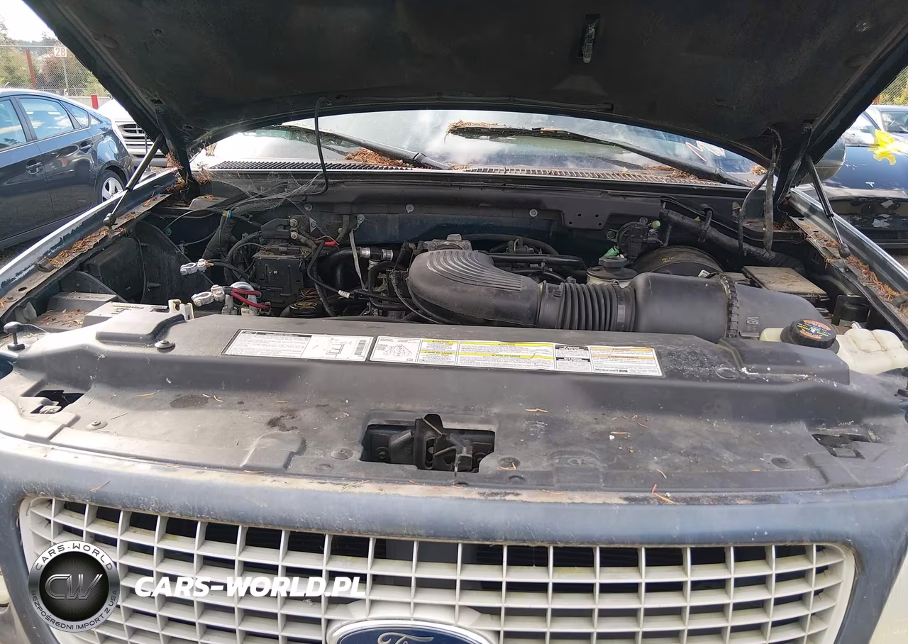 1999 Ford Expedition Eddie Bauer-Xlt VIN:1FMPU18L6XLA53149 - 10