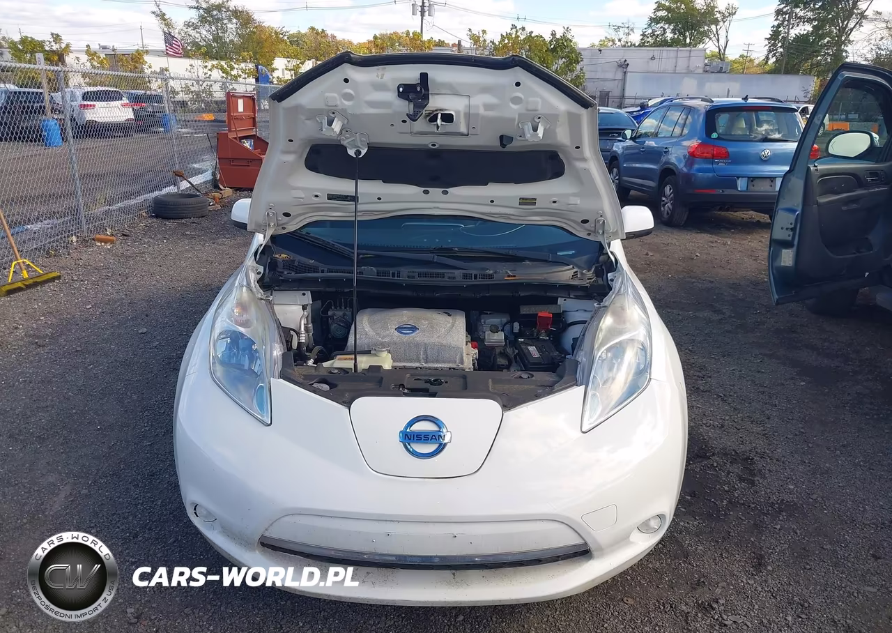 2014 Nissan Leaf S-Sl-Sv VIN:1N4AZ0CP5EC339660 - 10