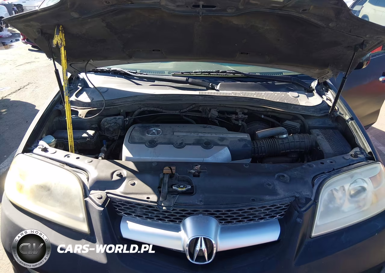 2005 Acura Mdx VIN:2HNYD188X5H543568 - 10