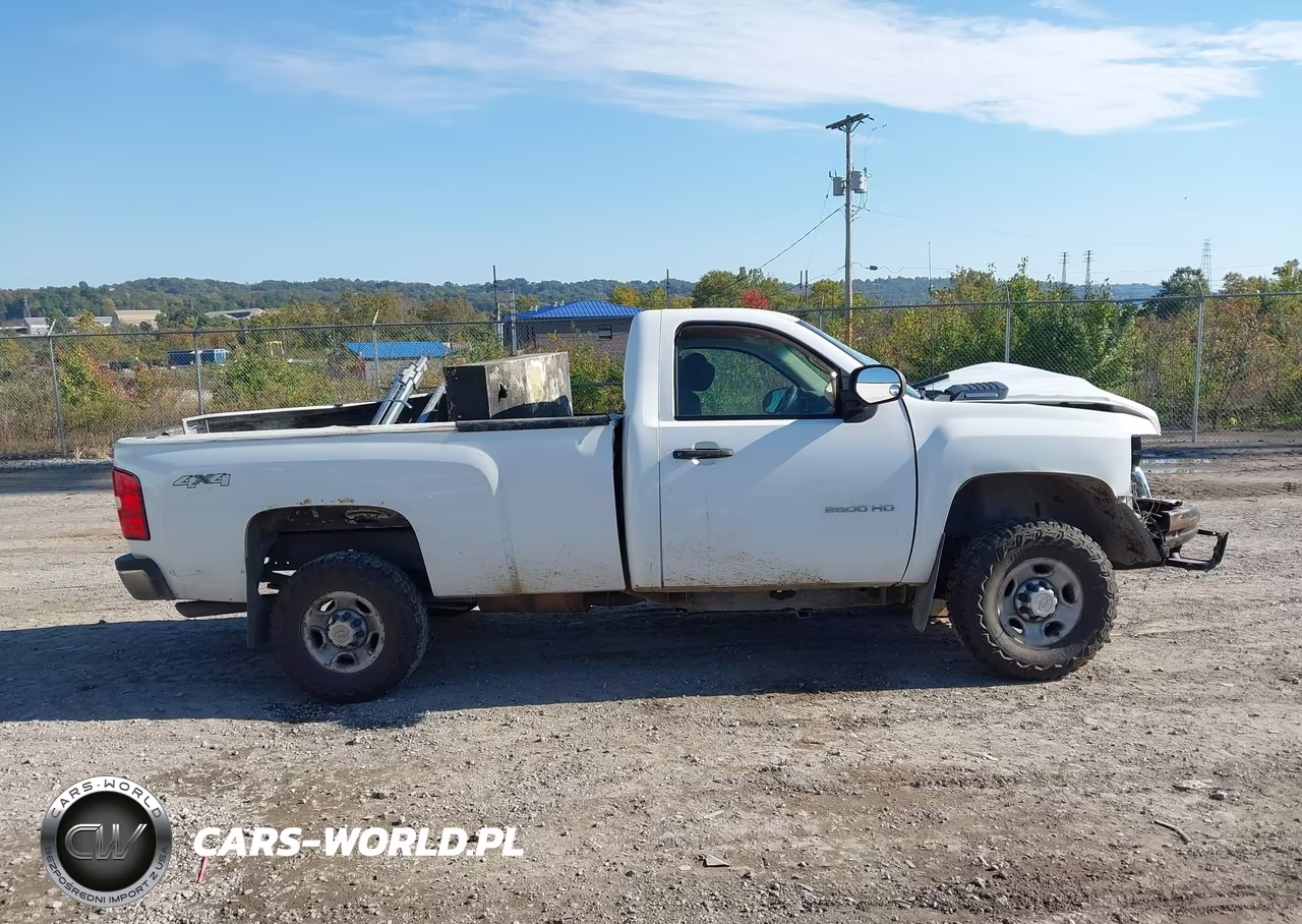 2010 Chevrolet Silverado 2500Hd Work Truck VIN:1GC3KVBG1AF141253 - 14